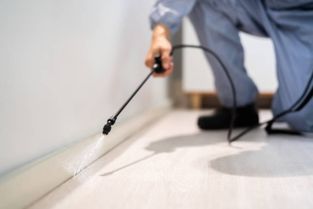 Licensed Rodent Control service in DeLand Southwest, FL - Nex Pest Control