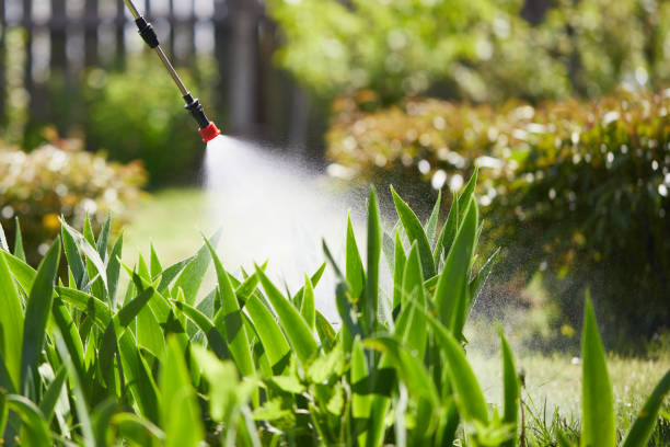 24/7 Emergency Rodent Control experts in DeLand Southwest, FL