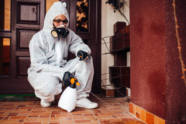 Reliable Rodent Control contractor in DeLand Southwest, FL by Nex Pest Control