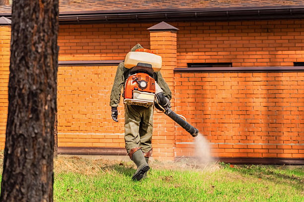 Trusted Cockroach Control service in DeLand Southwest, FL - Nex Pest Control